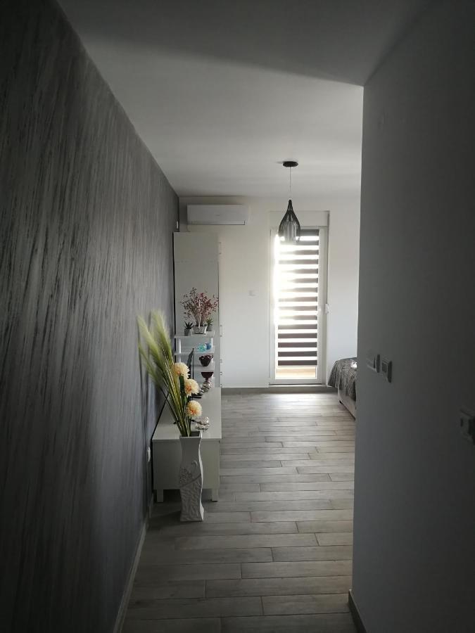 Apartamento Danica Sremska Mitrovica Exterior foto